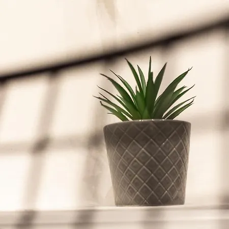 Skg Premium * Szaloniki