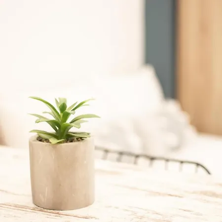 Skg Premium דירה